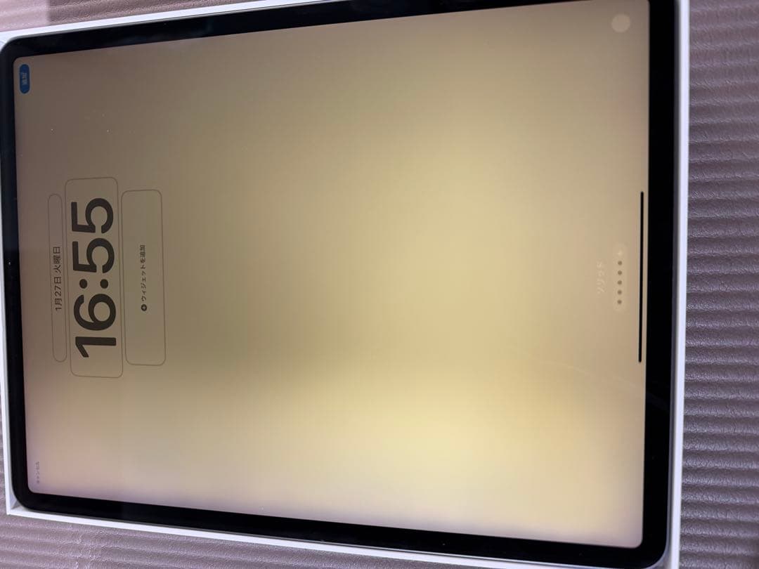 天*水様 画面焼けあり　iPad Pro 12.9インチ 256GB Wi-Fi
