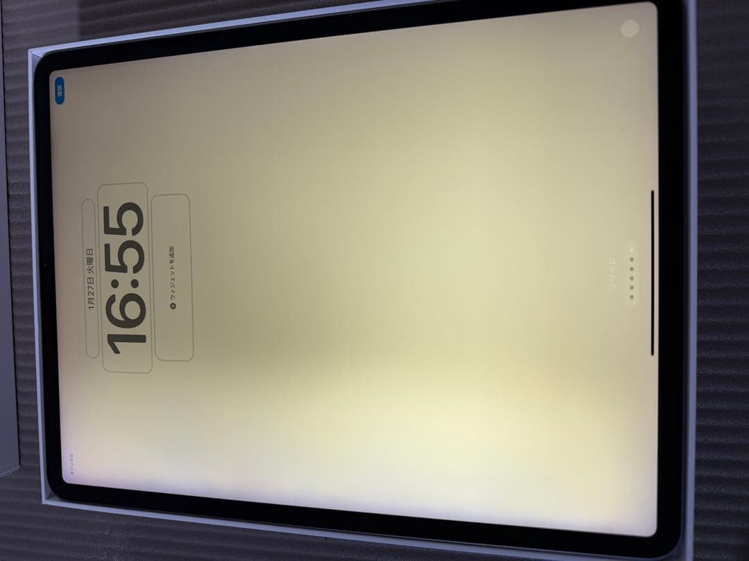 天*水様 画面焼けあり　iPad Pro 12.9インチ 256GB Wi-Fi