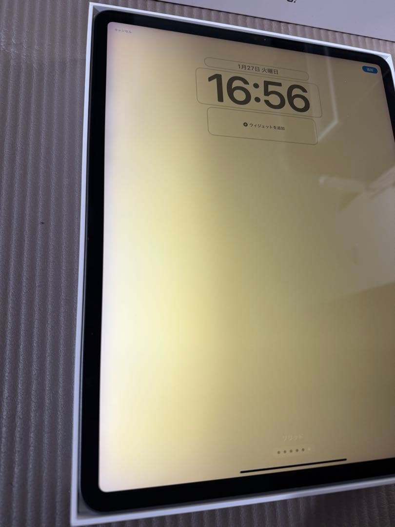天*水様 画面焼けあり　iPad Pro 12.9インチ 256GB Wi-Fi