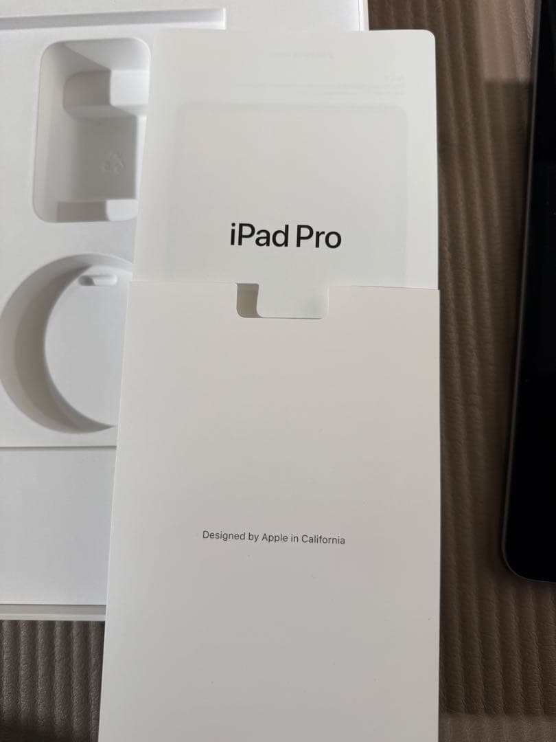 天*水様 画面焼けあり　iPad Pro 12.9インチ 256GB Wi-Fi