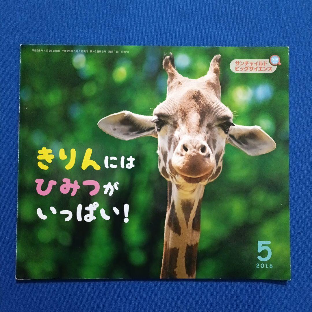 かがくのとも　ビッグサイエンス　キンダーブックしぜん　きりんさんの絵本