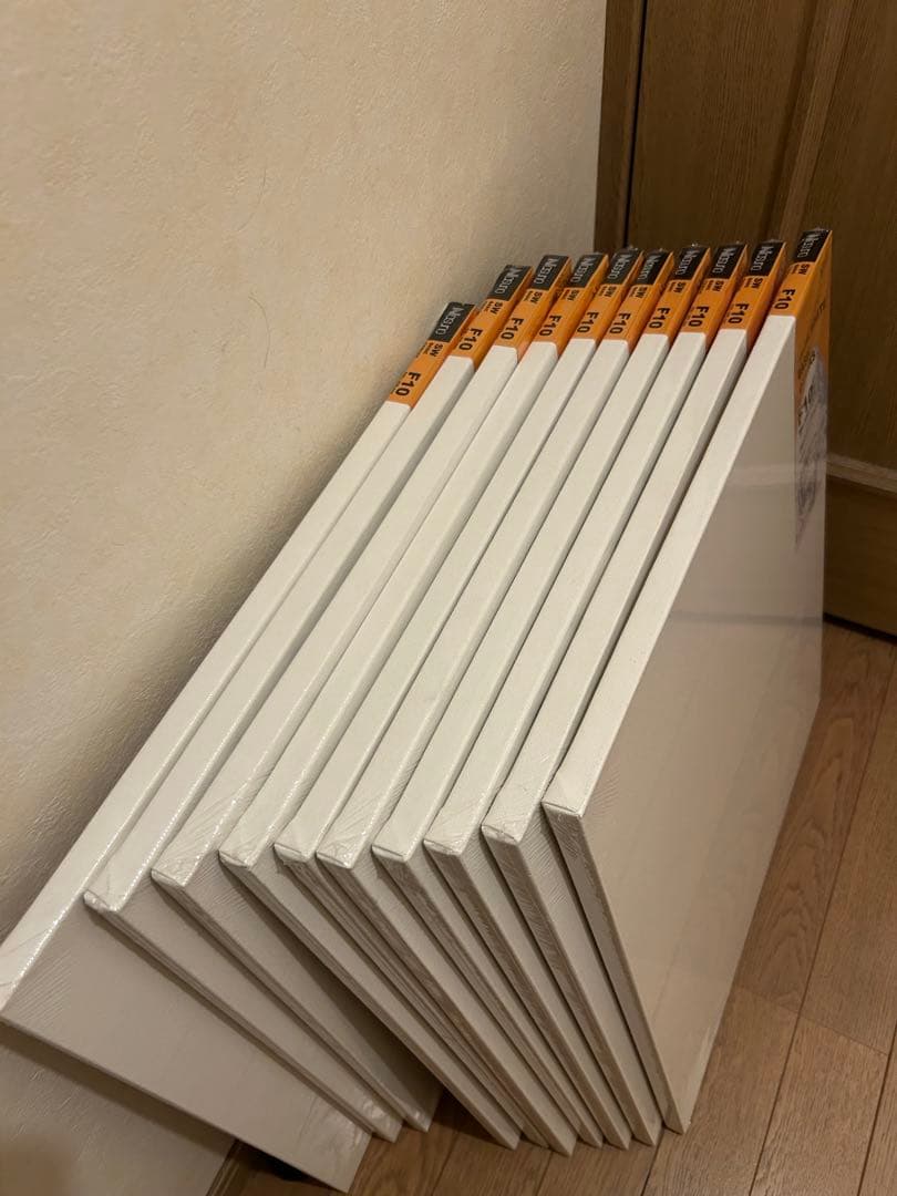 F10 キャンバス　10枚セット