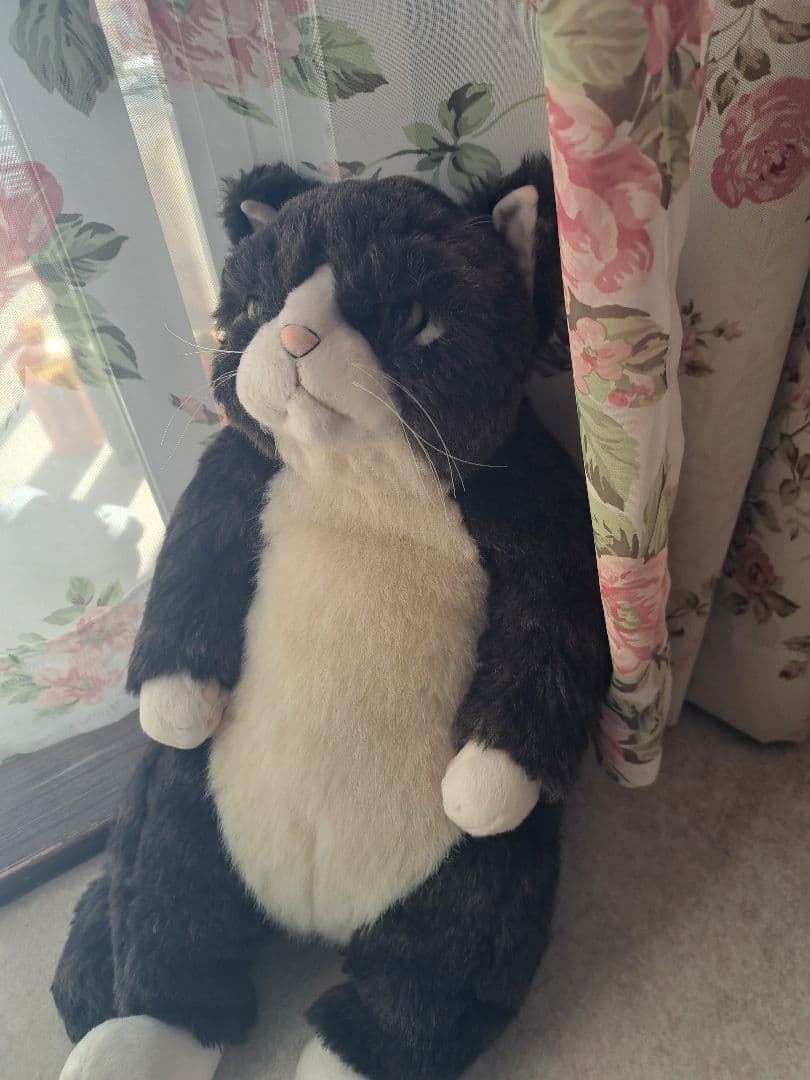 カドリー　猫　金之助