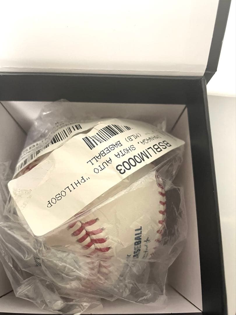 今永昇太　直筆サインボールインスク入り ファナティックス専用ケース付き