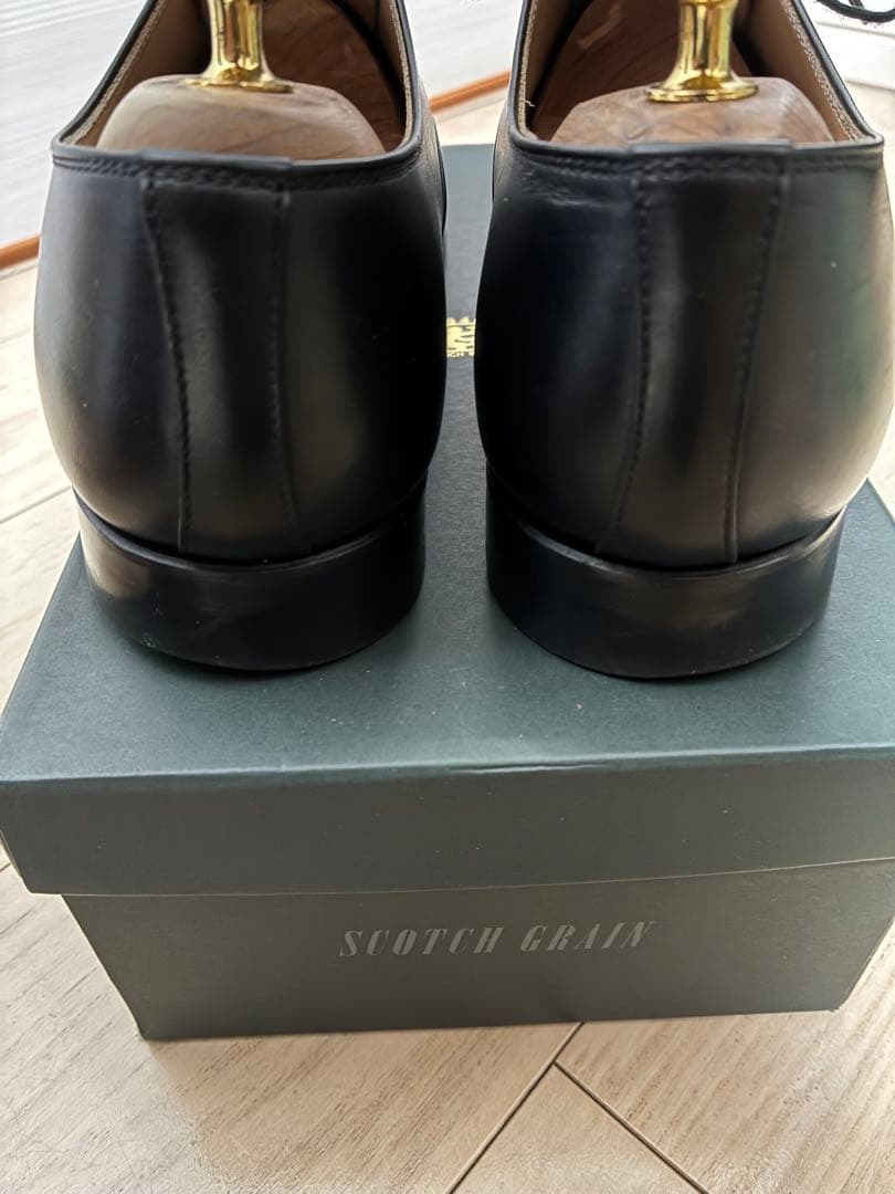 スコッチグレインT0326 シャインオアレイン