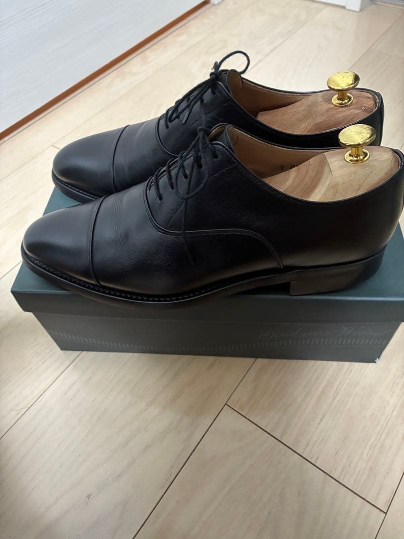 スコッチグレインT0326 シャインオアレイン