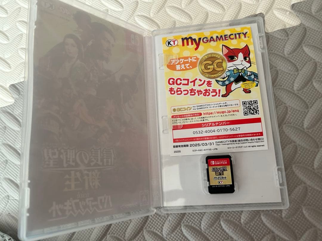 Switch 信長の野望　新生パワーアップキット