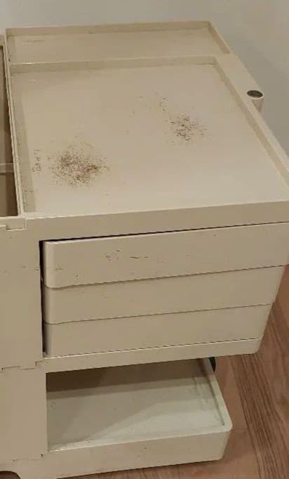 ビーライン B-LINE ボビーワゴン ジョエコロンボ