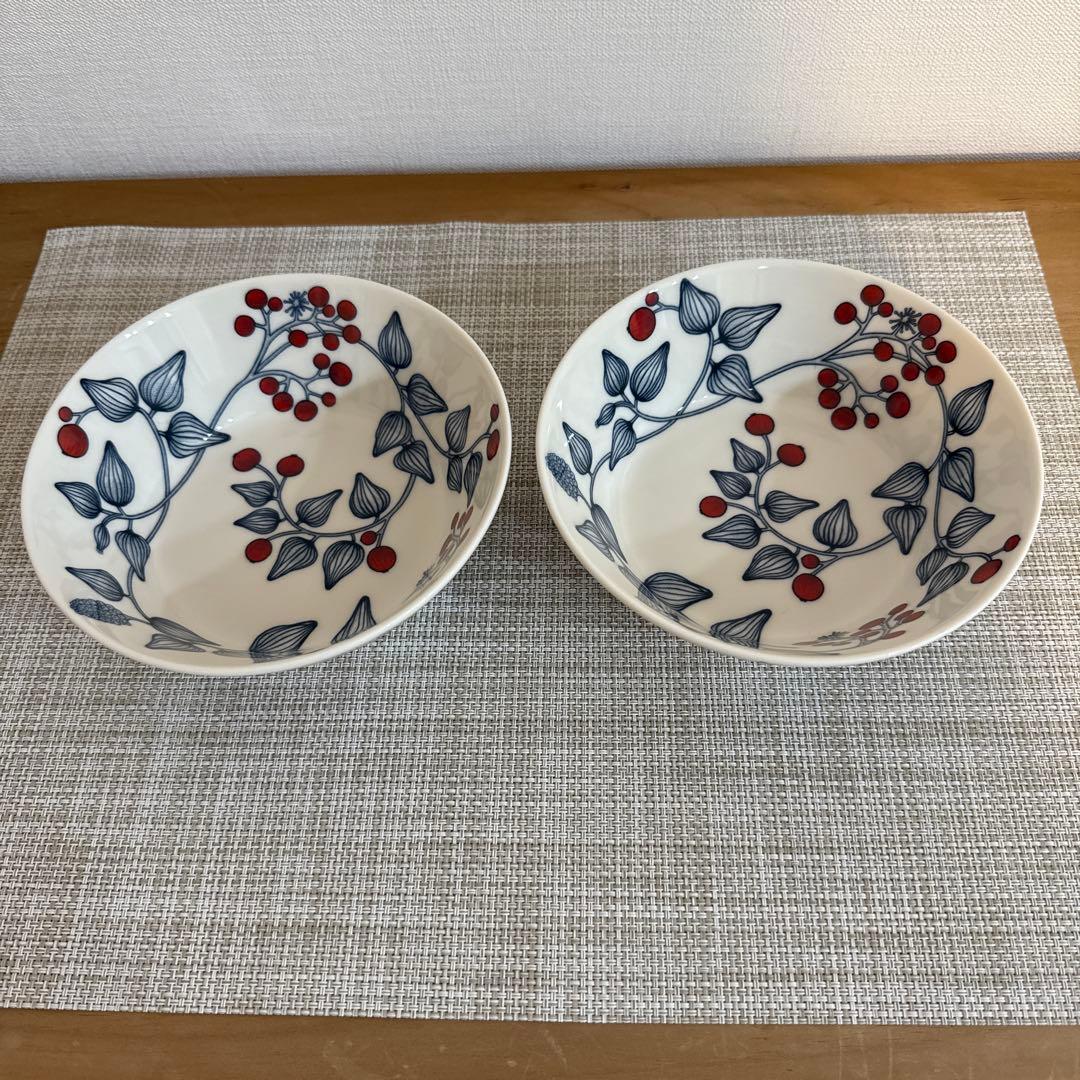 アラビア ルノ フロストベリー17cmボウル2個セット