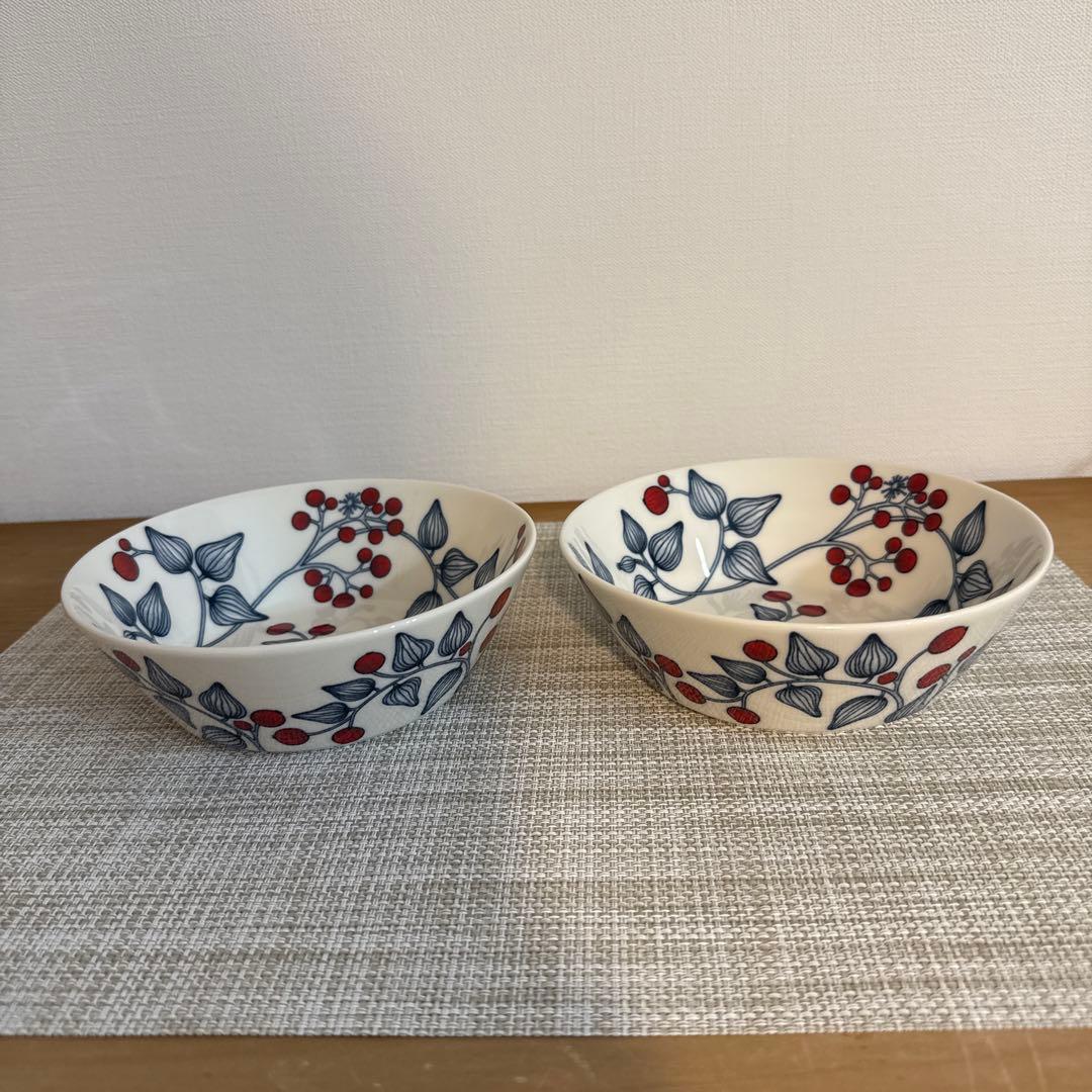 アラビア ルノ フロストベリー17cmボウル2個セット