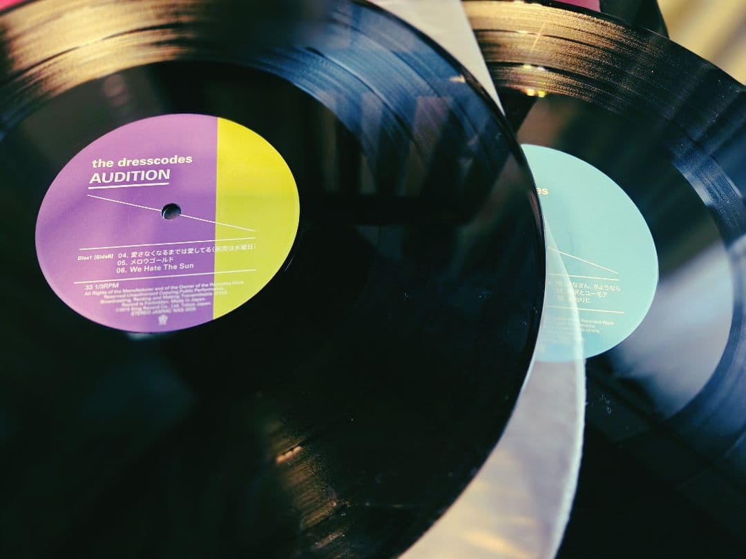 サイン入り!フライヤー付き!ドレスコーズ　オーディション　インサート付き!2LP
