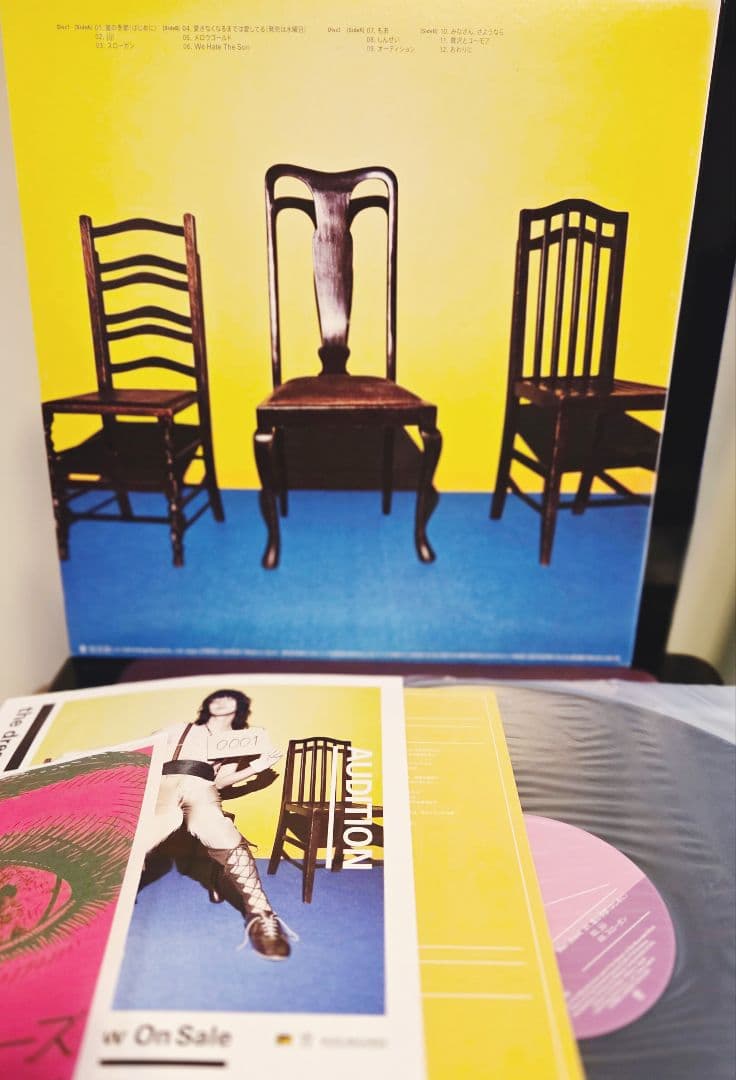 サイン入り!フライヤー付き!ドレスコーズ　オーディション　インサート付き!2LP