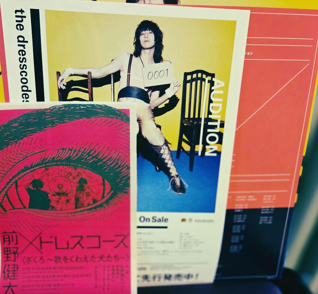 サイン入り!フライヤー付き!ドレスコーズ　オーディション　インサート付き!2LP