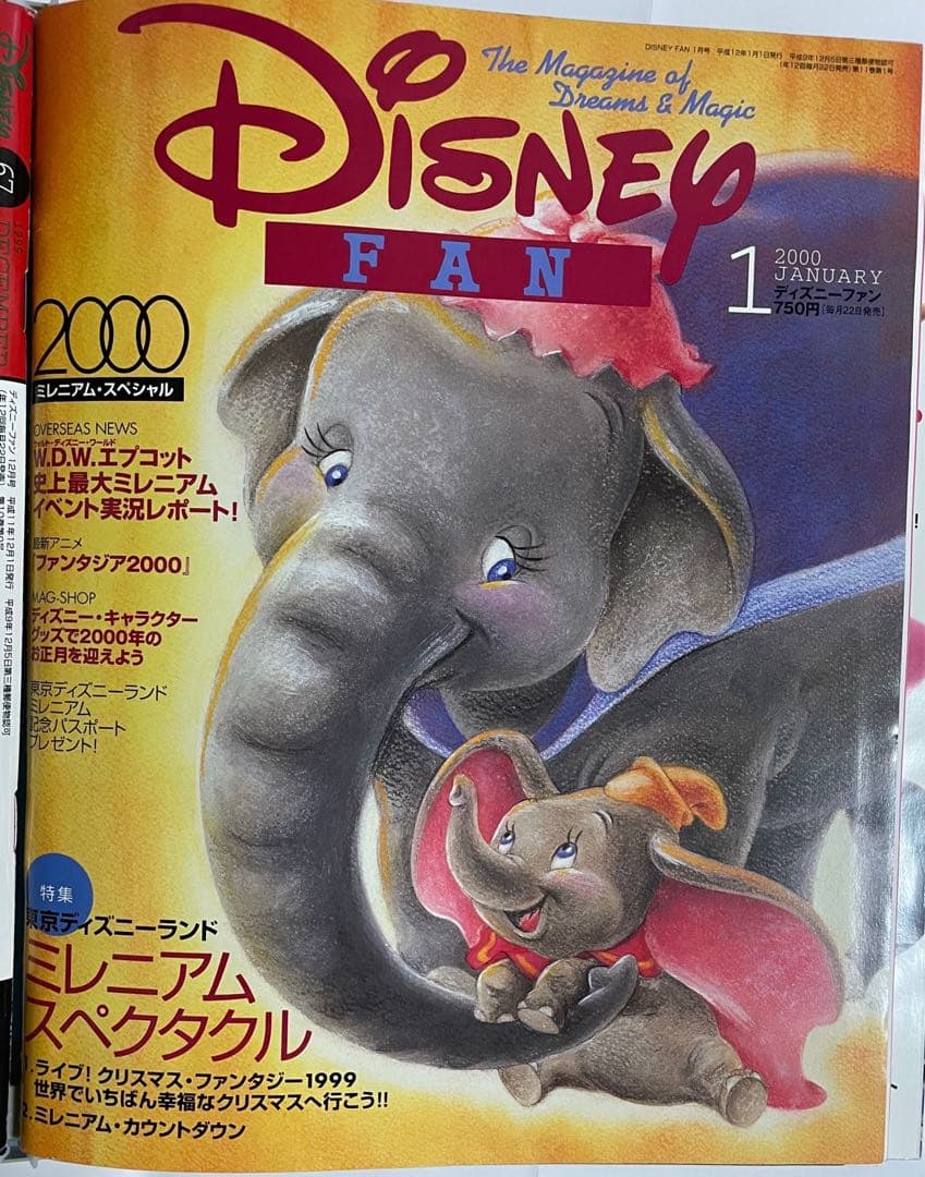 美品コンプリートver. ハードファイルカバー付 ディズニーファン