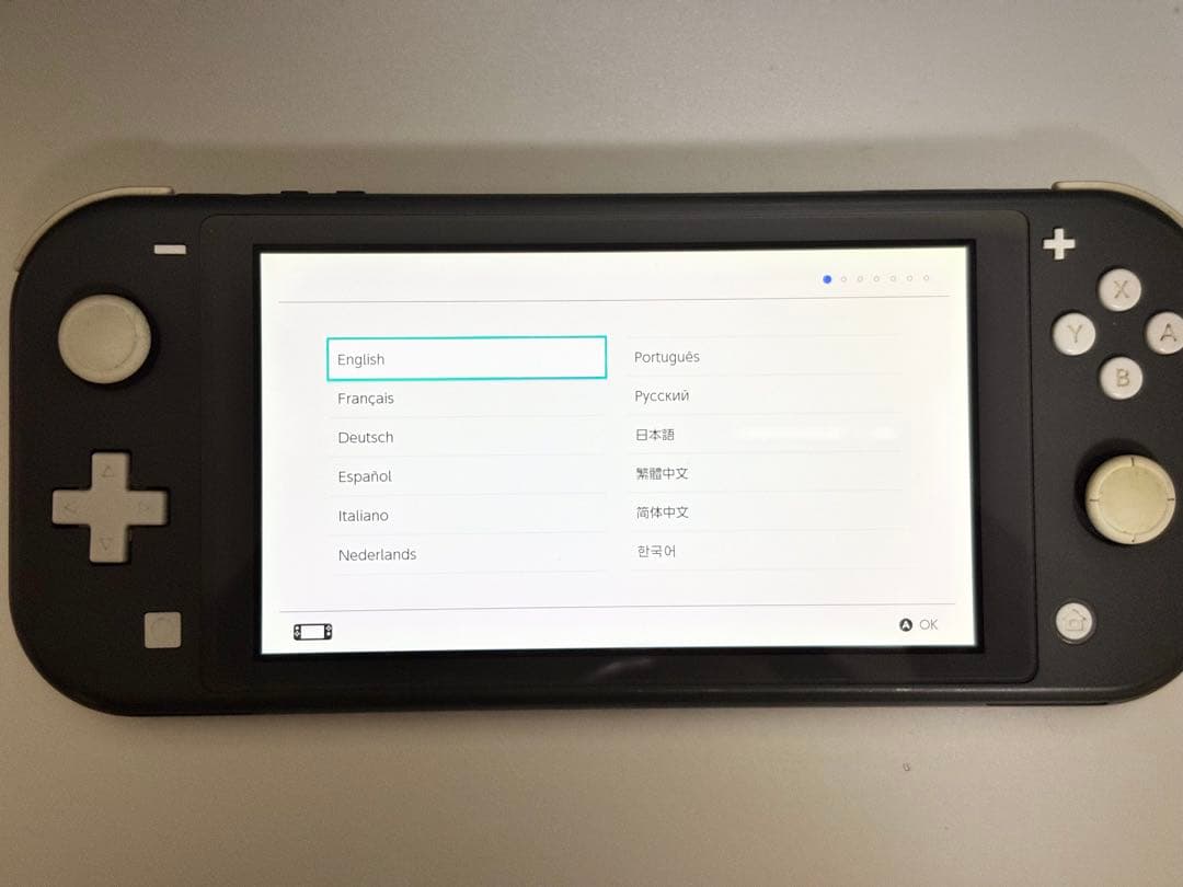 Nintendo Switch Lite グレー 本体 充電器 箱付き