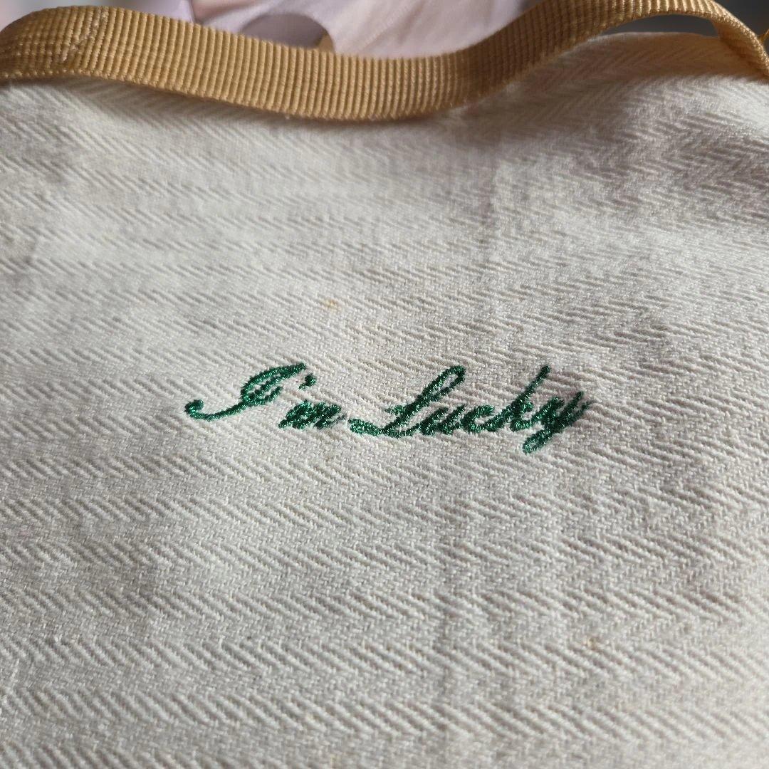 お宝ポーチ長野いづみ　クロコ長財布開運引き寄せ