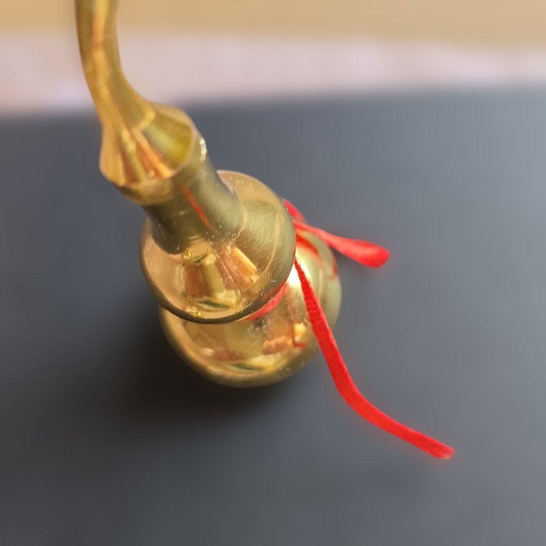 お宝ポーチ長野いづみ　クロコ長財布開運引き寄せ