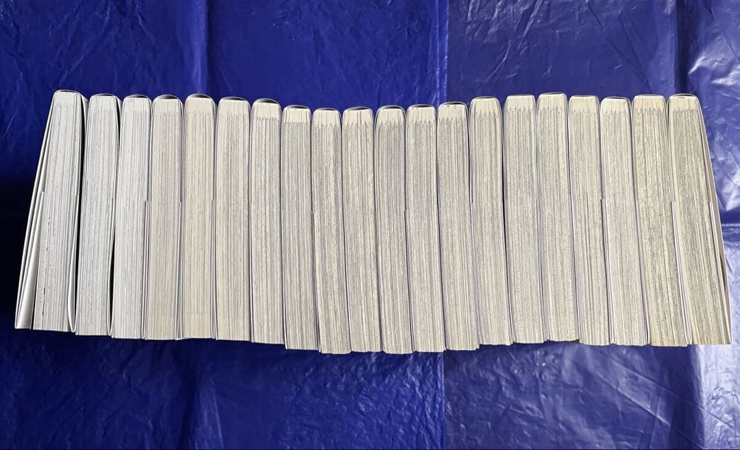 29歳独身中堅冒険者の日常 1～21巻セット 全巻初版帯付 特典付 奈良一平