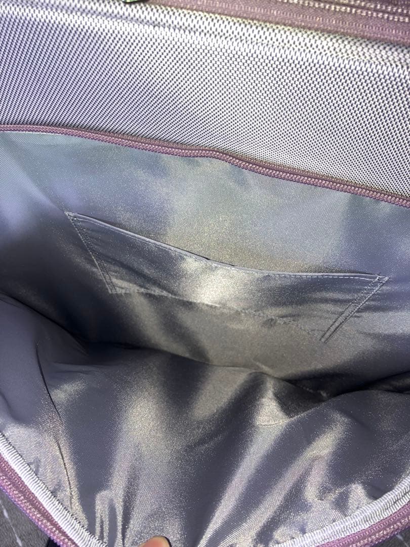 ACEアルザス TR スーツケース ラベンダー LL 93〜101L 拡張機能付