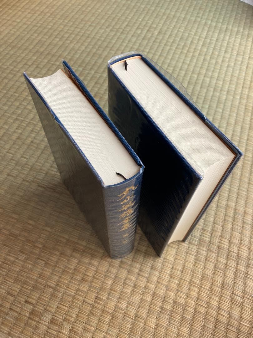 丸山敏雄全集全３０冊の後半（１５巻から２５巻、別巻１から４）