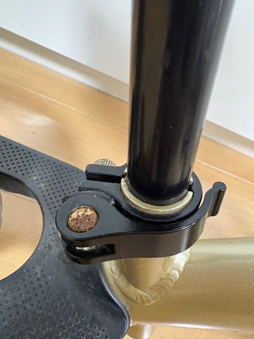 STRIDER バランスバイク ゴールド 12インチ