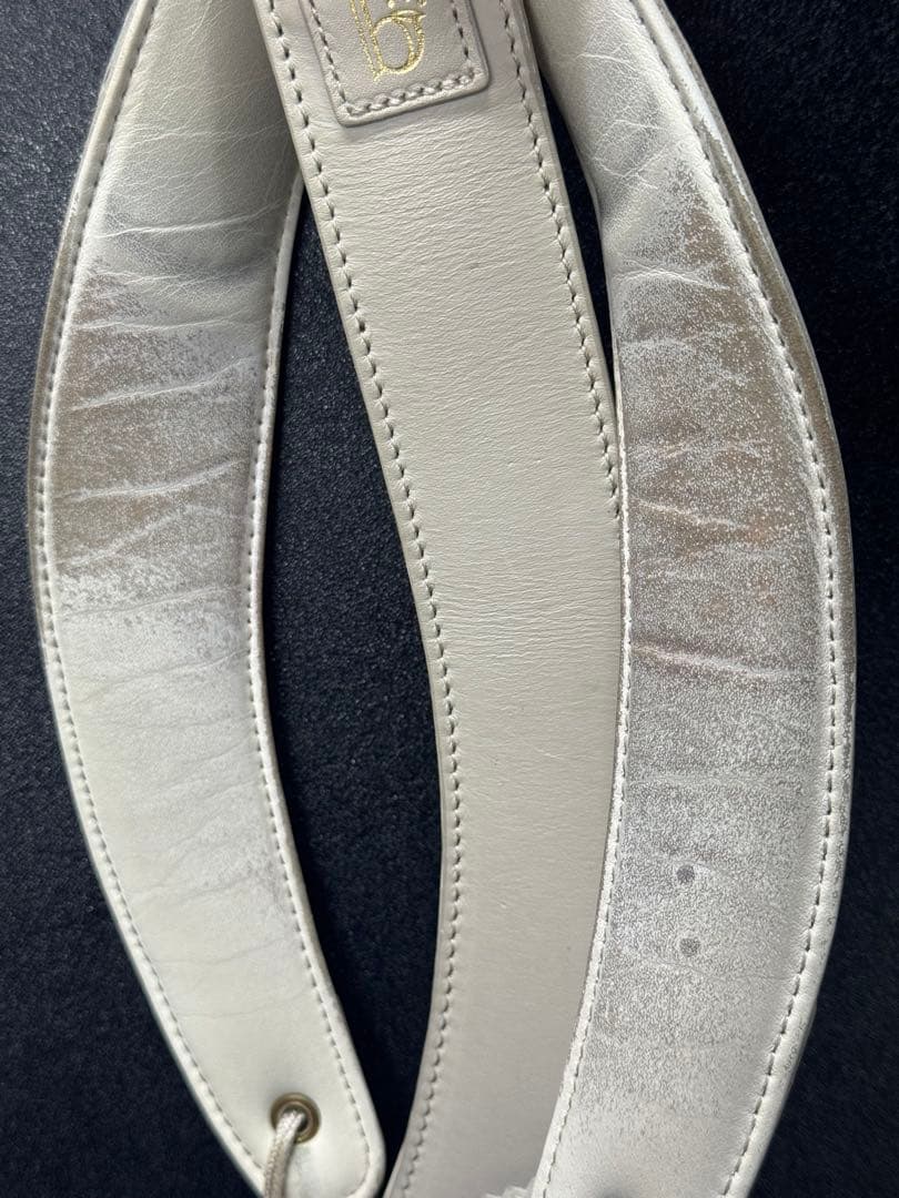 ブレステイキング 2021年限定モデル Lサイズ