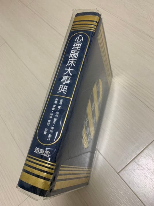 心理臨床大事典　初版第11刷