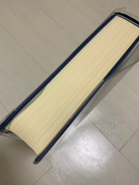 心理臨床大事典　初版第11刷