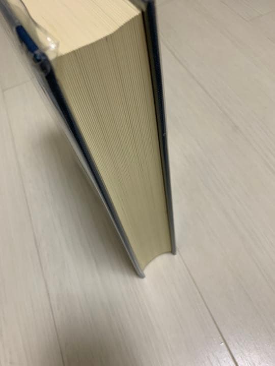 心理臨床大事典　初版第11刷