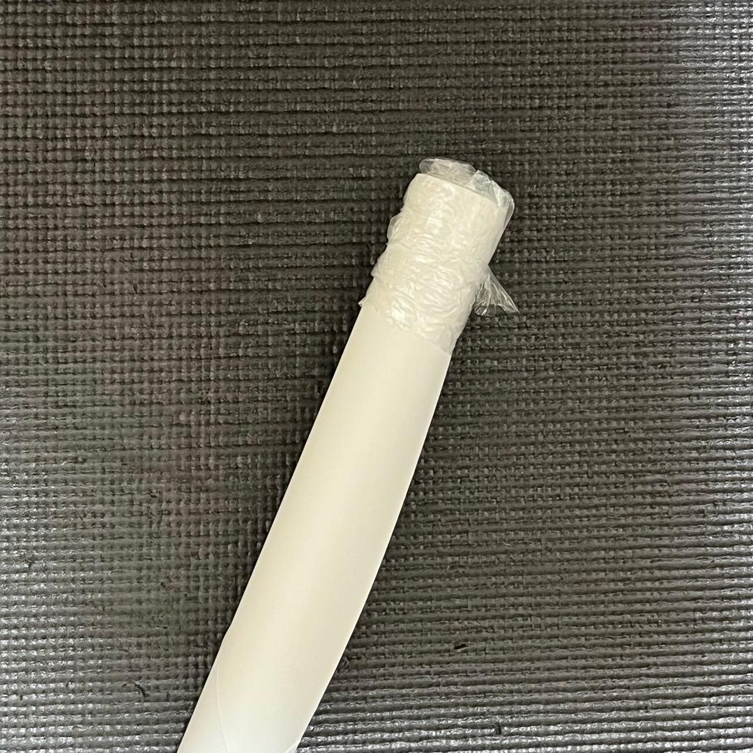 鬼滅の刃 ダイニング 無限城編 第一章 Wチャンス賞 B2サイズポスター 善逸