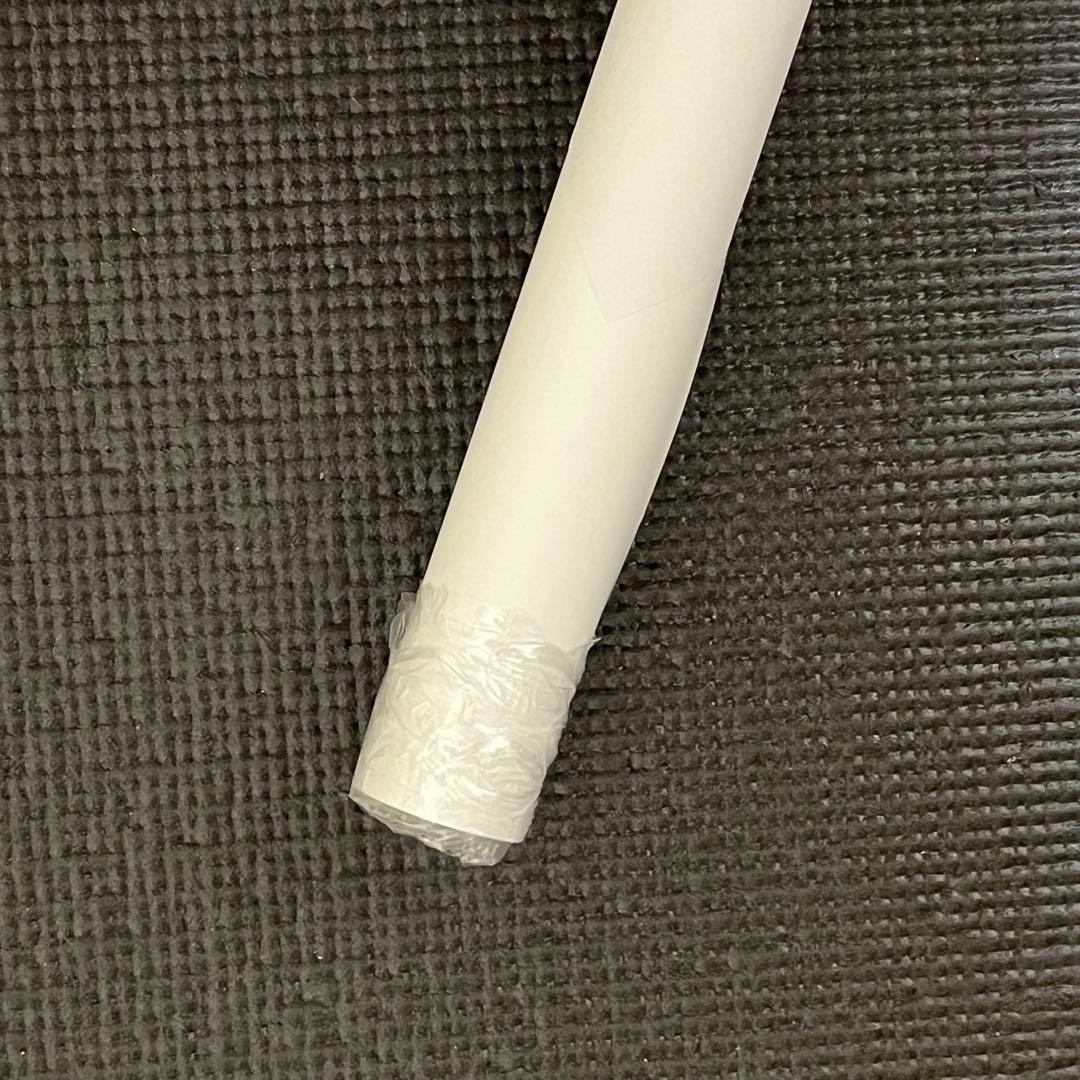 鬼滅の刃 ダイニング 無限城編 第一章 Wチャンス賞 B2サイズポスター 善逸