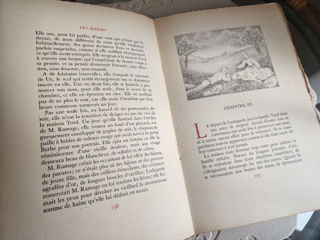 ☆超希少☆ 洋書 羊皮紙 古書 フランス小説 ヴィンテージ ジャンクジャーナル