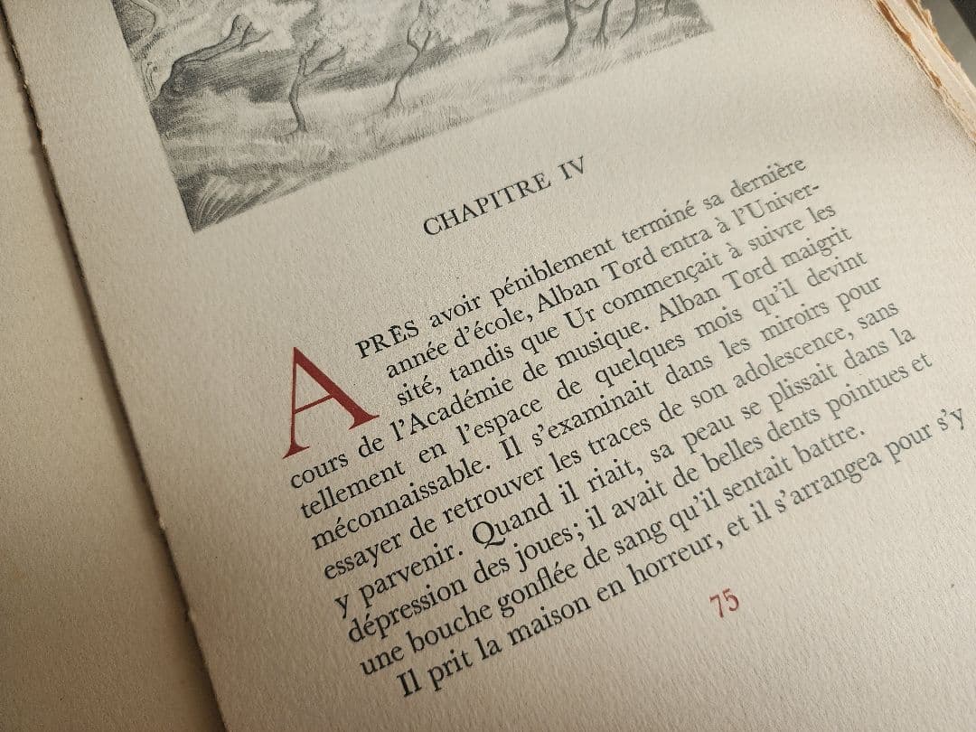 ☆超希少☆ 洋書 羊皮紙 古書 フランス小説 ヴィンテージ ジャンクジャーナル