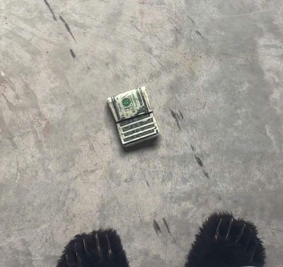 \"Debt Free Stained Money\" アメリカドル 2つ折り財布