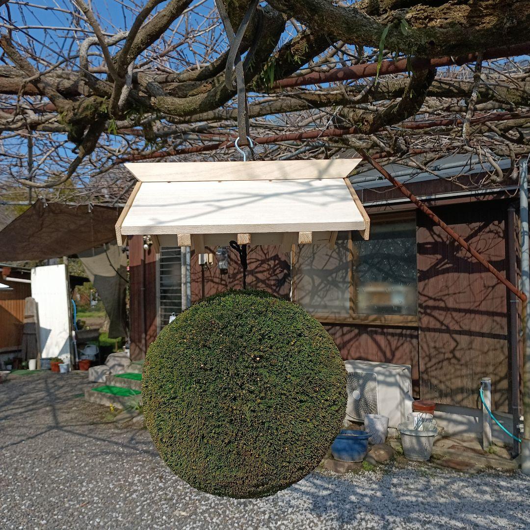杉玉　直径約33cm　屋根(白木作り）付き