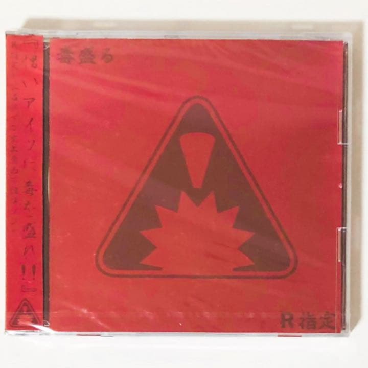 V系★R15★R指定★CD＋DVD★8点セット