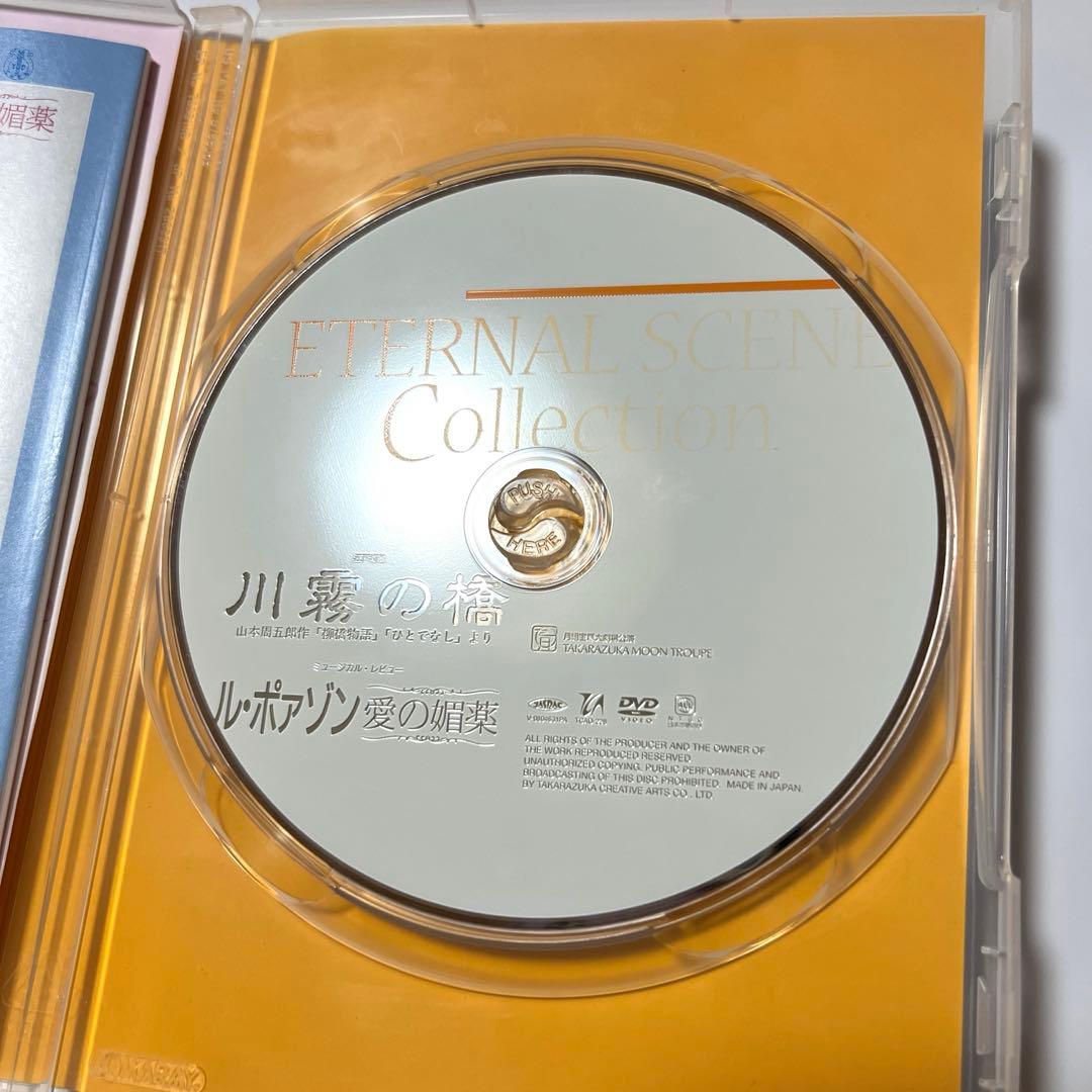 宝塚　月組　DVD 川霧の橋 山本周五郎作「柳橋物語」ル・ポァゾン　愛の媚薬