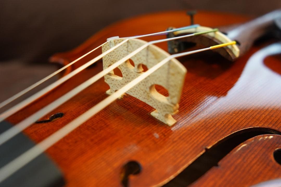 KT様　ローデリヒ　ペゾルト　バイオリン Paesold 806 4/4 ☆5