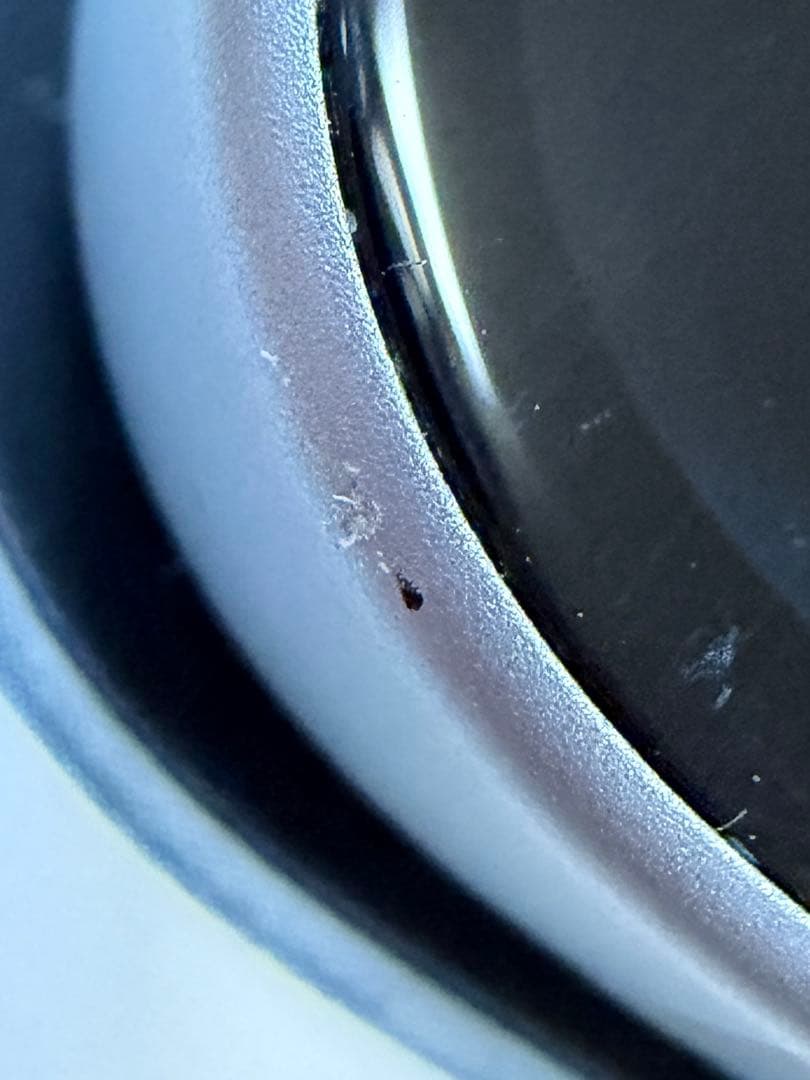 （値下げ） iPhone 15 Blue 128GB SIMロックなし【良品】