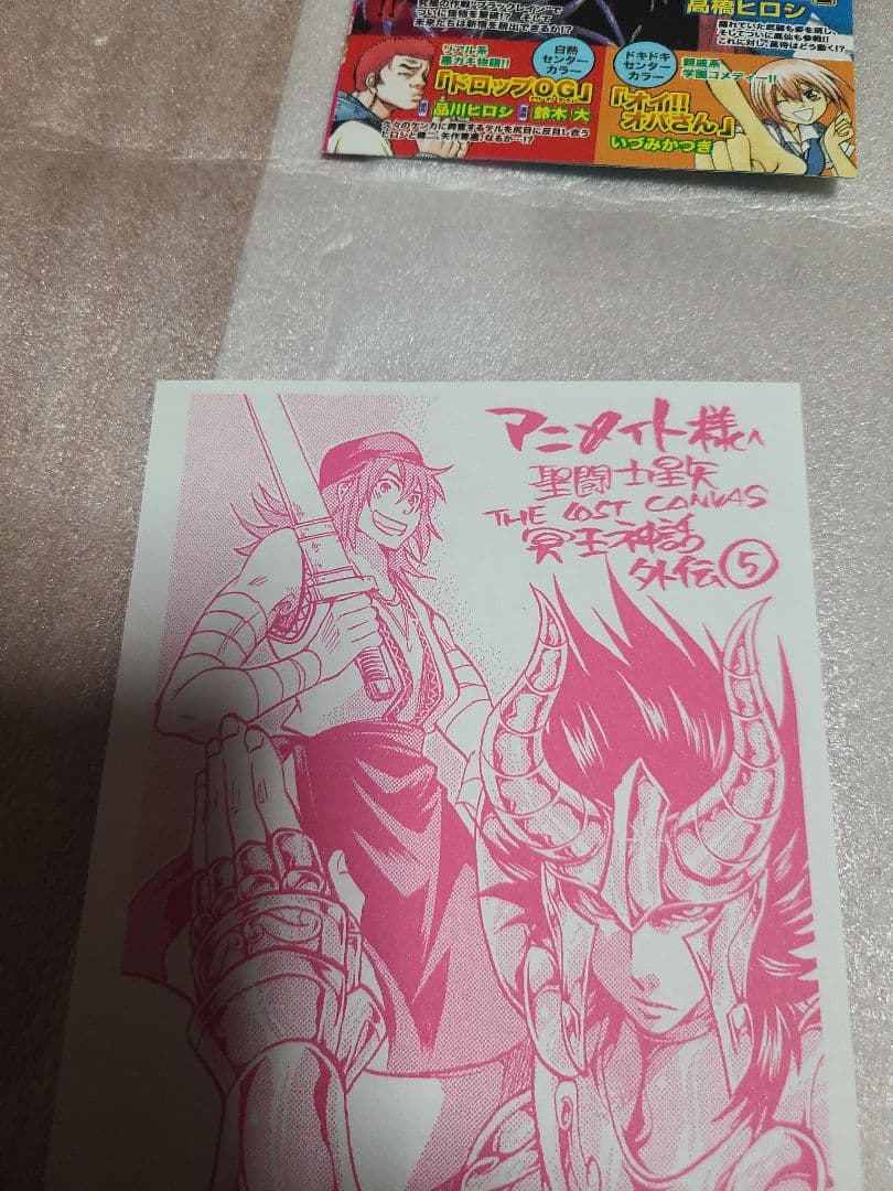 聖闘士星矢ロストキャンバス カプリコーン アニメイト 特典 ペーパー 非売品