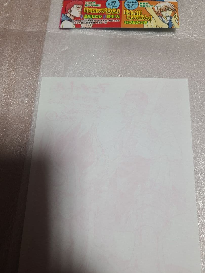 聖闘士星矢ロストキャンバス カプリコーン アニメイト 特典 ペーパー 非売品