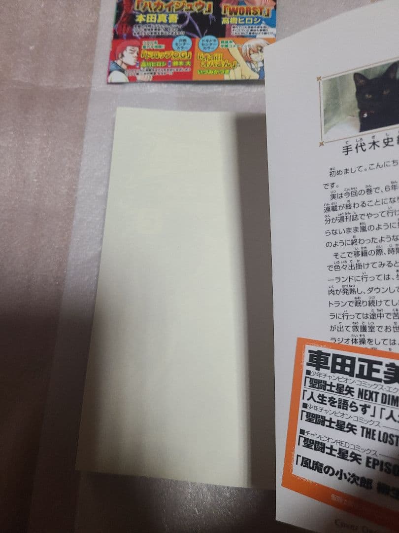 聖闘士星矢ロストキャンバス カプリコーン アニメイト 特典 ペーパー 非売品