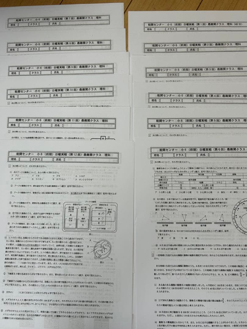 能開センター小６　前期日曜実践4科目12回分