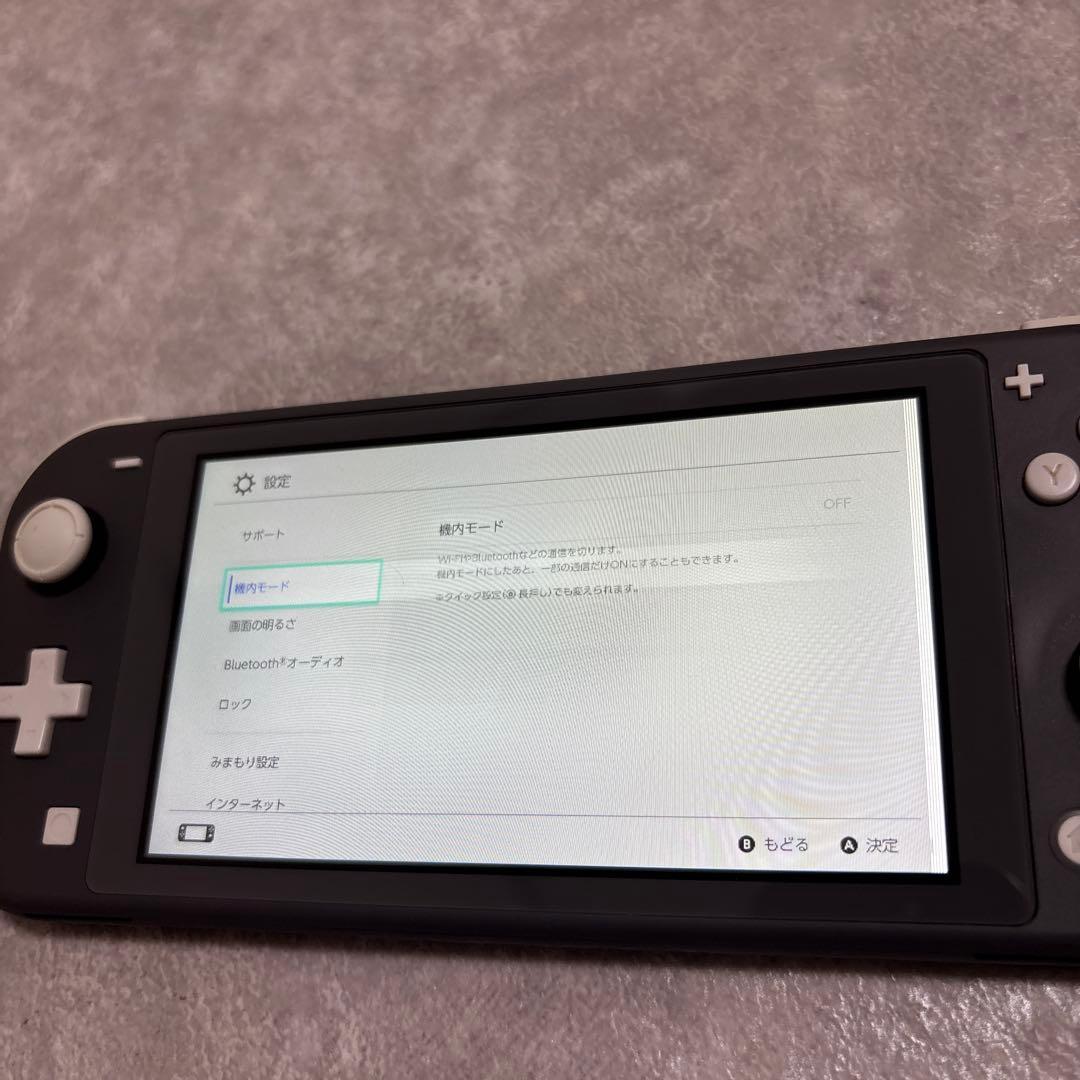 ジャンク品Nintendo Switch Lite グレー 本体　画面映りが不良
