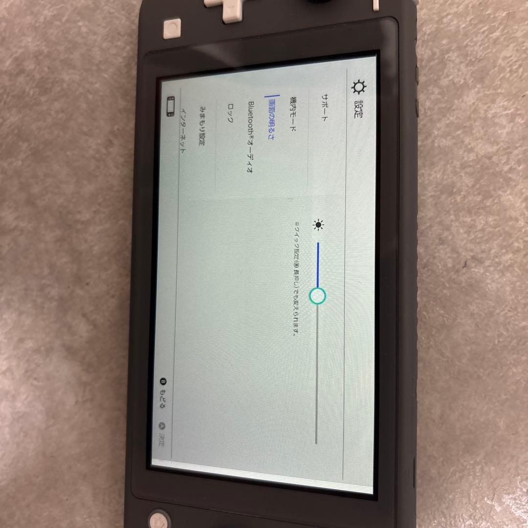 ジャンク品Nintendo Switch Lite グレー 本体　画面映りが不良