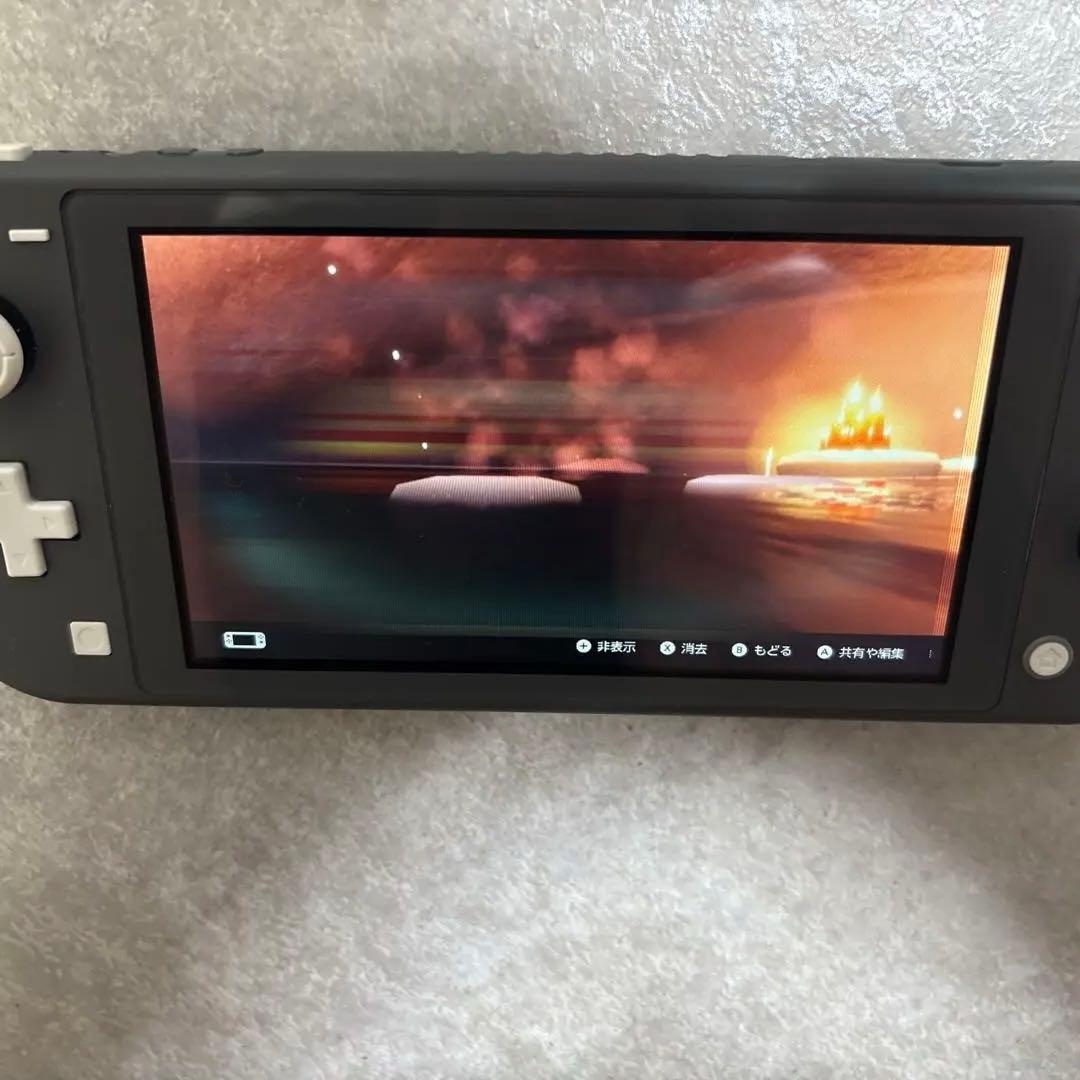 ジャンク品Nintendo Switch Lite グレー 本体　画面映りが不良