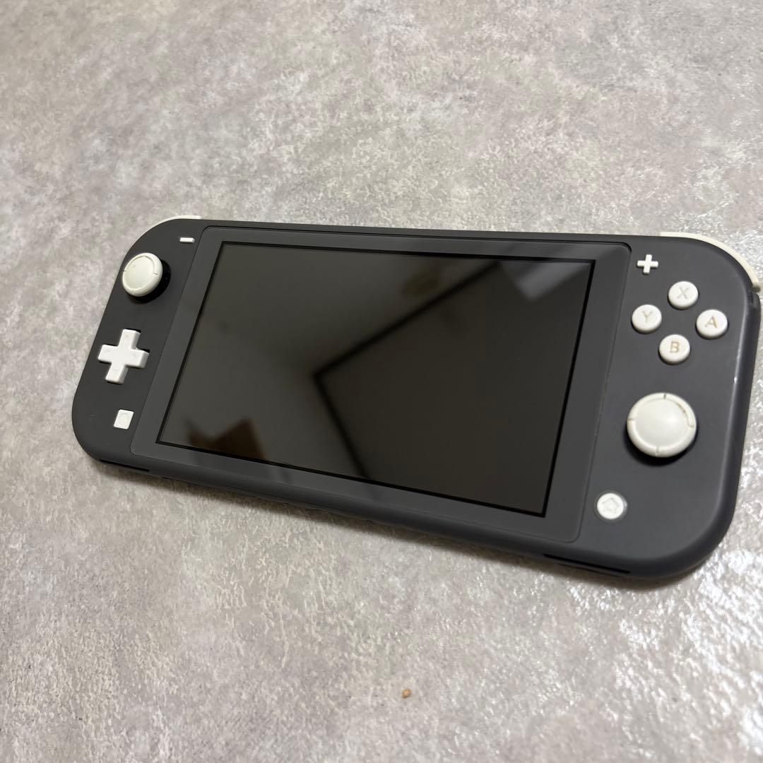 ジャンク品Nintendo Switch Lite グレー 本体　画面映りが不良