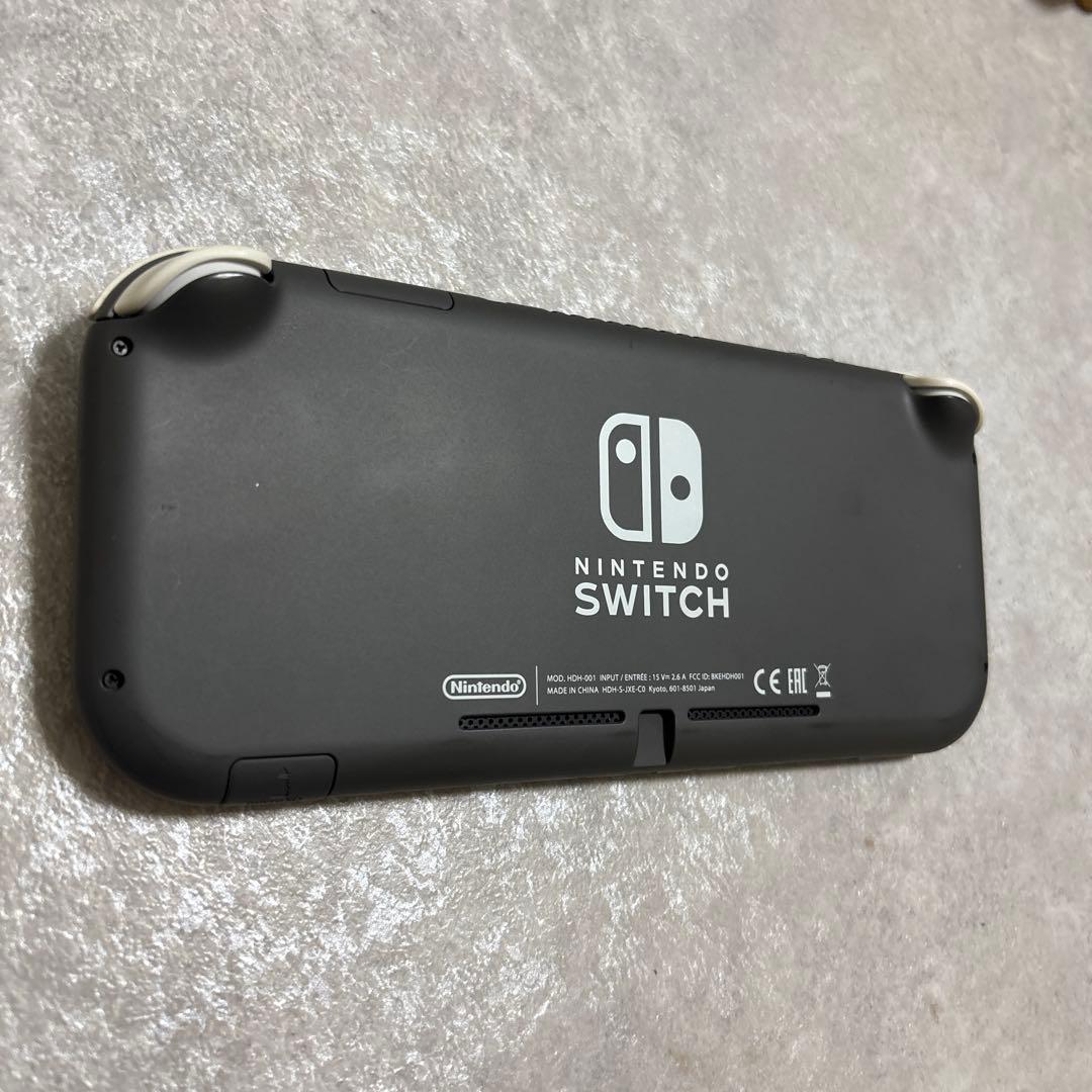 ジャンク品Nintendo Switch Lite グレー 本体　画面映りが不良