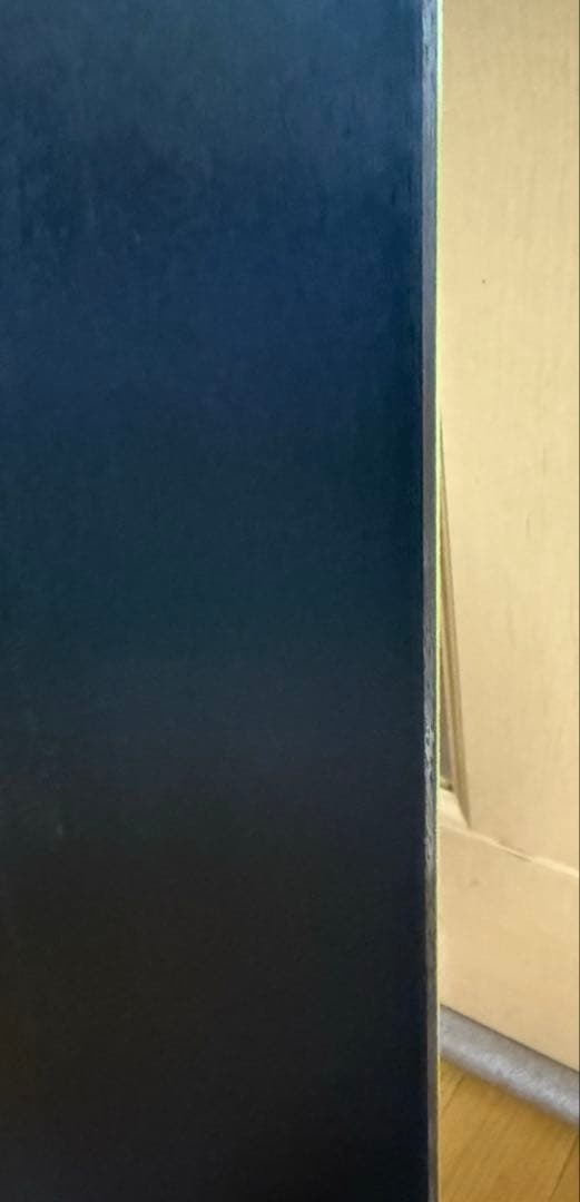 カービング F2 Eliminator World Cup Carbon 153