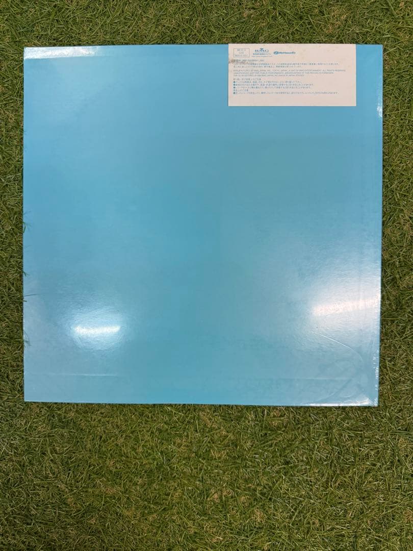 MISIA 2ndシングル 陽のあたる場所 シールド